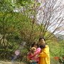 010.jpg