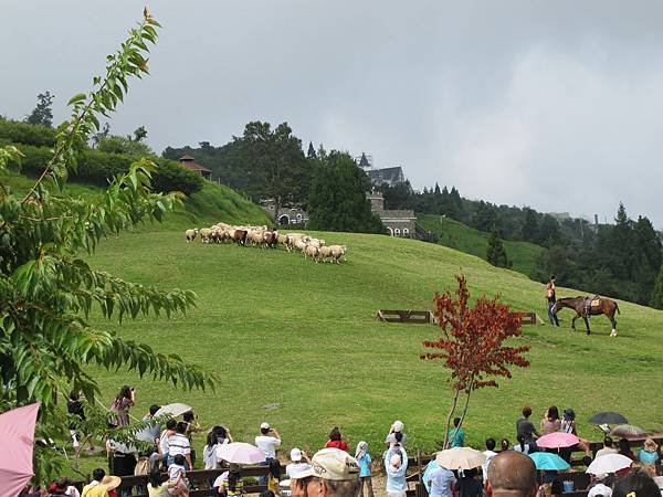 IMG_0408.JPG