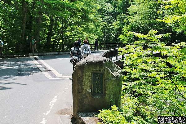 奧入瀨溪(石戶→馬門橋)-青森駱駝