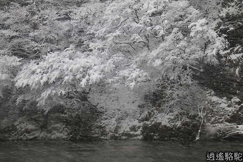 最上川雪見舟-山形駱駝