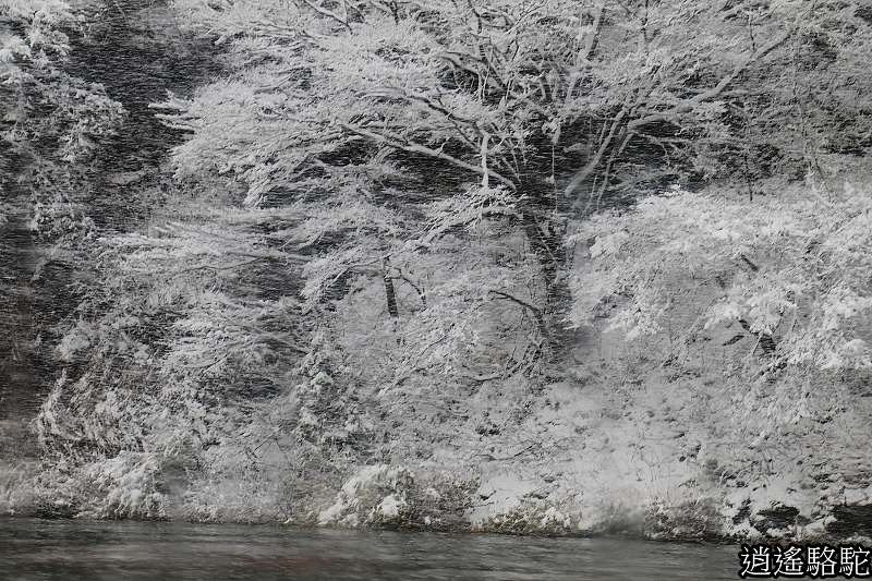 最上川雪見舟-山形駱駝