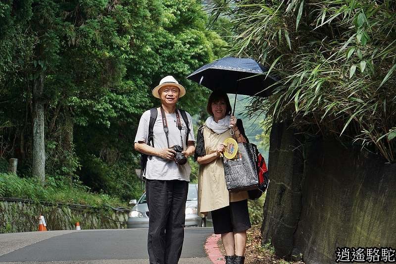 P17.jpg
