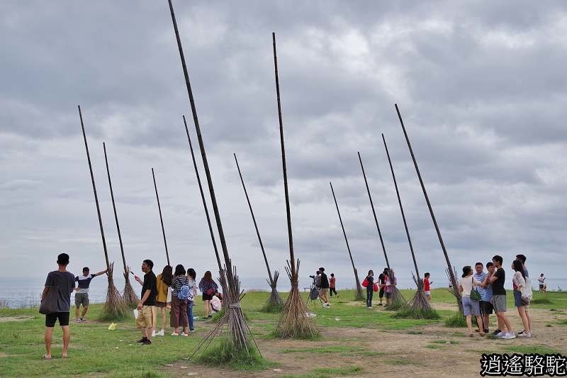 P05.jpg