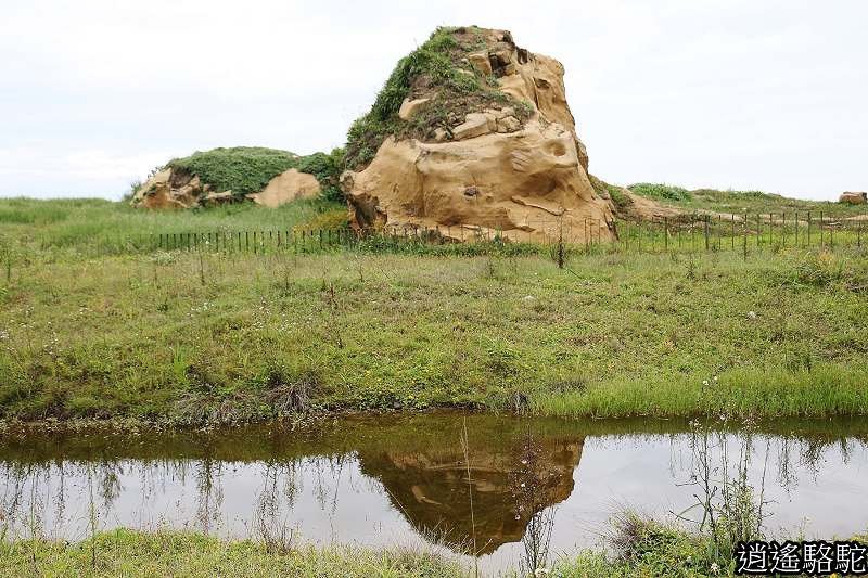 P01.jpg