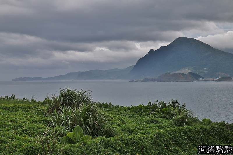 P15.jpg