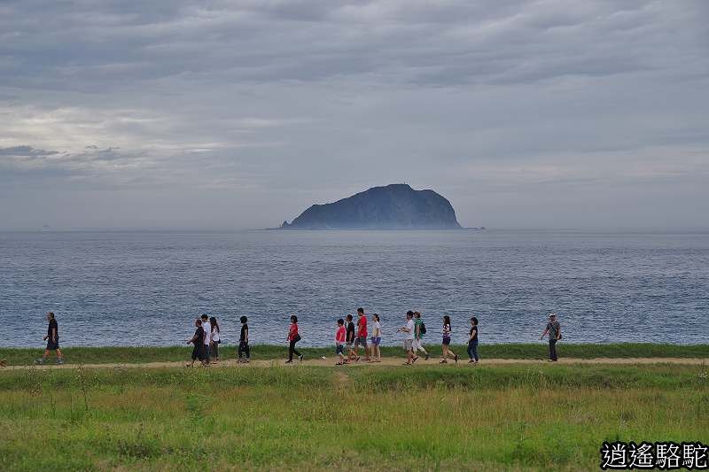 P17.jpg