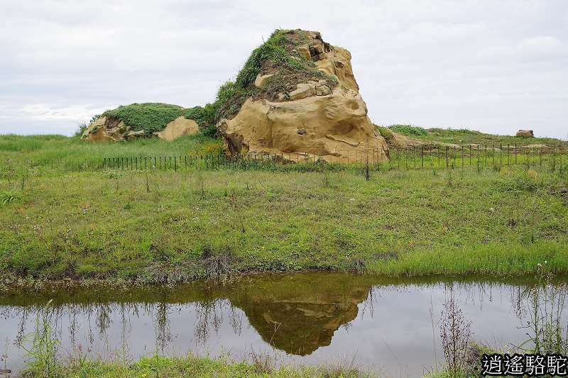 P24.jpg