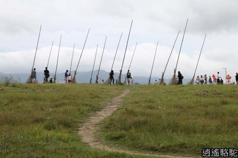 P20.jpg