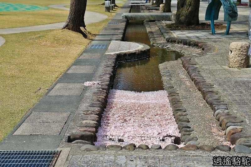 官廳街通‧駒街道-日本駱駝