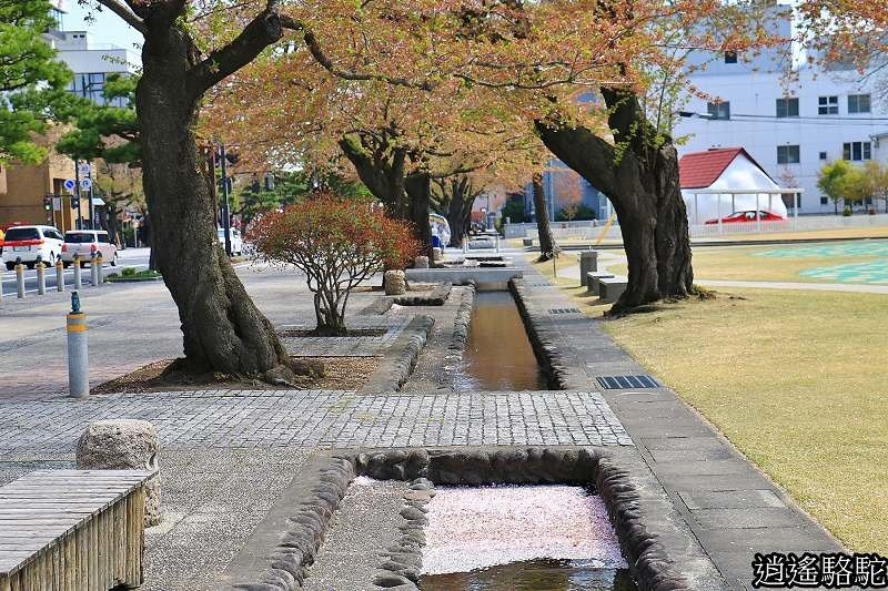 官廳街通‧駒街道-日本駱駝