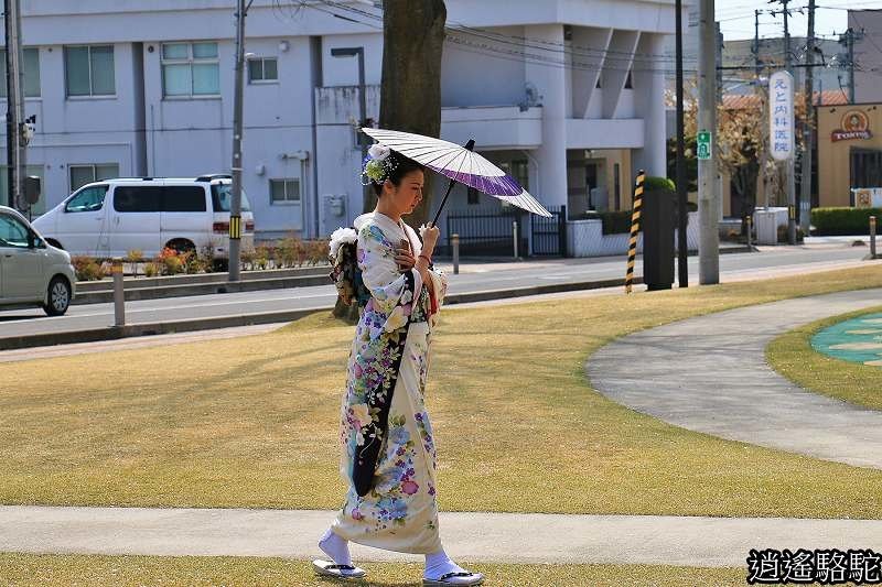 官廳街通‧駒街道-日本駱駝