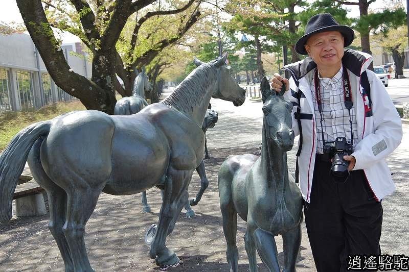 官廳街通‧駒街道-日本駱駝