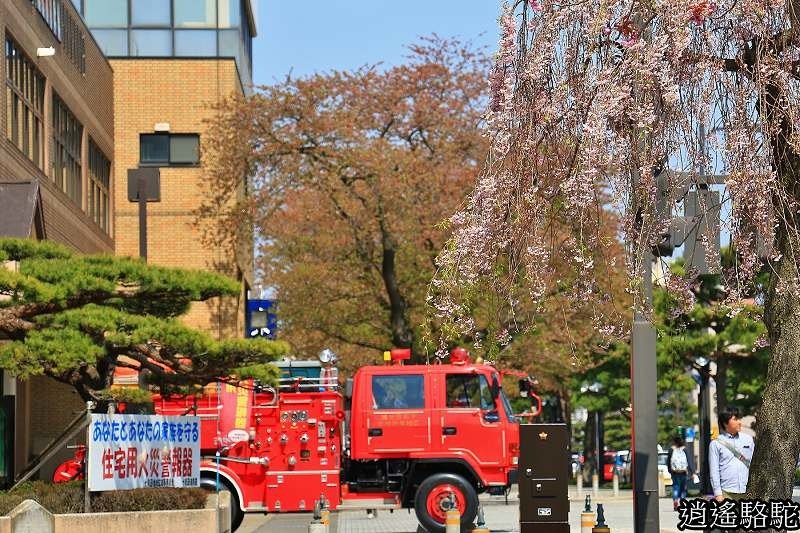 官廳街通‧駒街道-日本駱駝