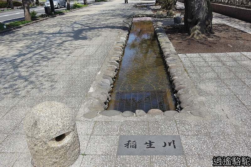 官廳街通‧駒街道-日本駱駝