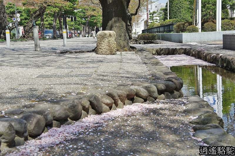 官廳街通‧駒街道-日本駱駝