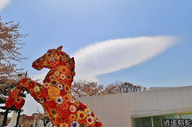 十和田現代美術館-日本駱駝