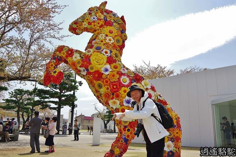 十和田現代美術館-日本駱駝