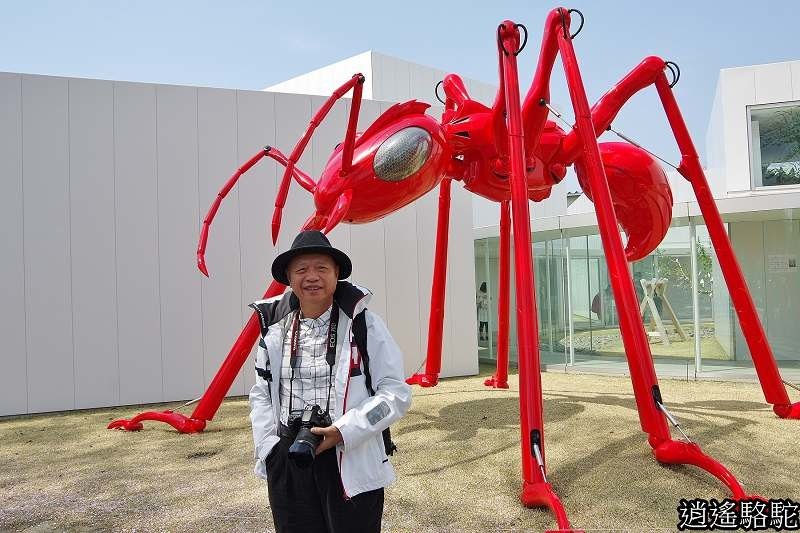 十和田現代美術館-日本駱駝