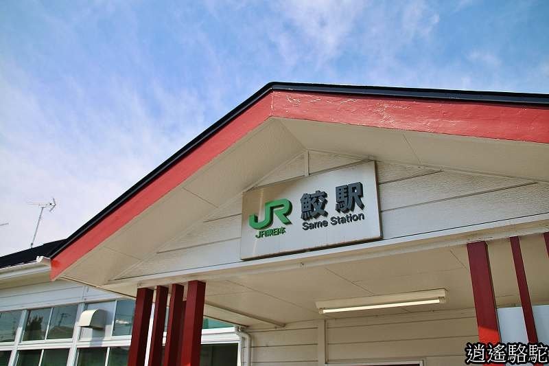 P13.jpg