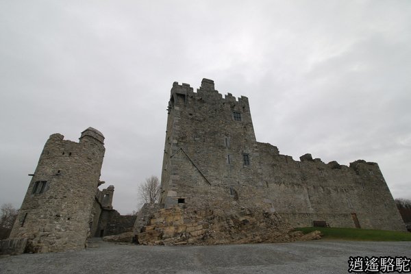 羅斯城堡Ross Castle-北愛爾蘭駱駝