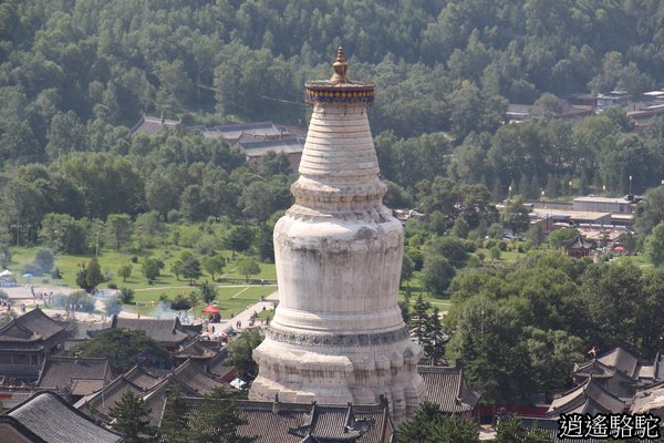 五臺山菩薩頂-山西駱駝