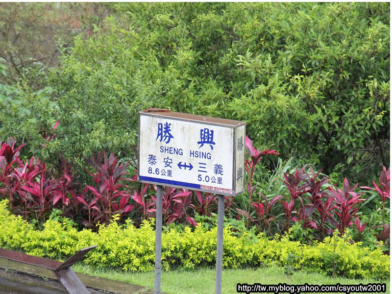 下大雨的勝興村-苗栗駱駝