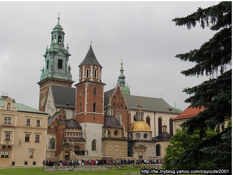 瓦維爾皇家城堡(Wawel Castle)下-波蘭駱駝