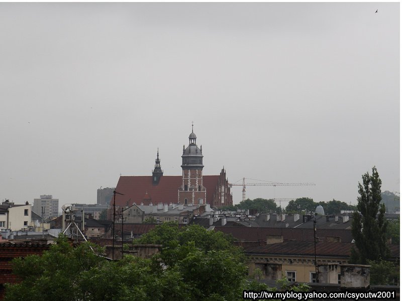 瓦維爾皇家城堡(Wawel Castle)下-波蘭駱駝