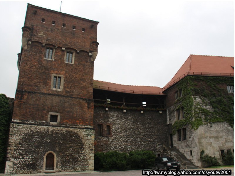 瓦維爾皇家城堡(Wawel Castle)下-波蘭駱駝