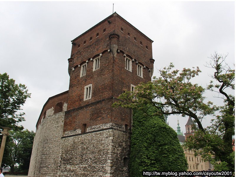 瓦維爾皇家城堡(Wawel Castle)下-波蘭駱駝