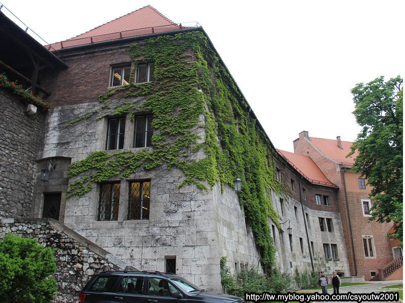 瓦維爾皇家城堡(Wawel Castle)下-波蘭駱駝