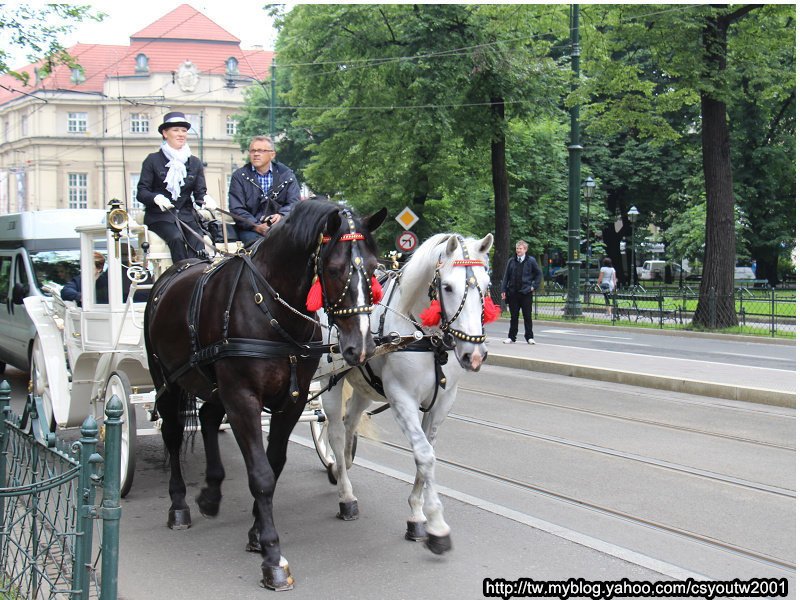 瓦維爾皇家城堡(Wawel Castle)下-波蘭駱駝