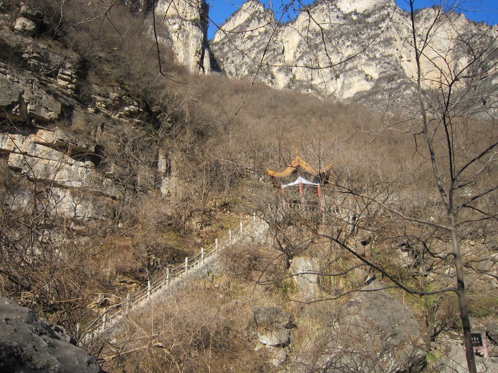 小寨溝雲台山風景區-中國駱駝