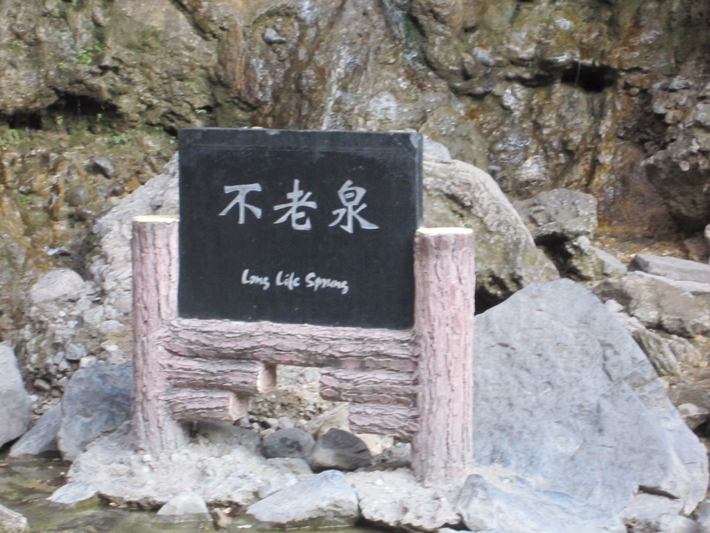 小寨溝雲台山風景區-中國駱駝