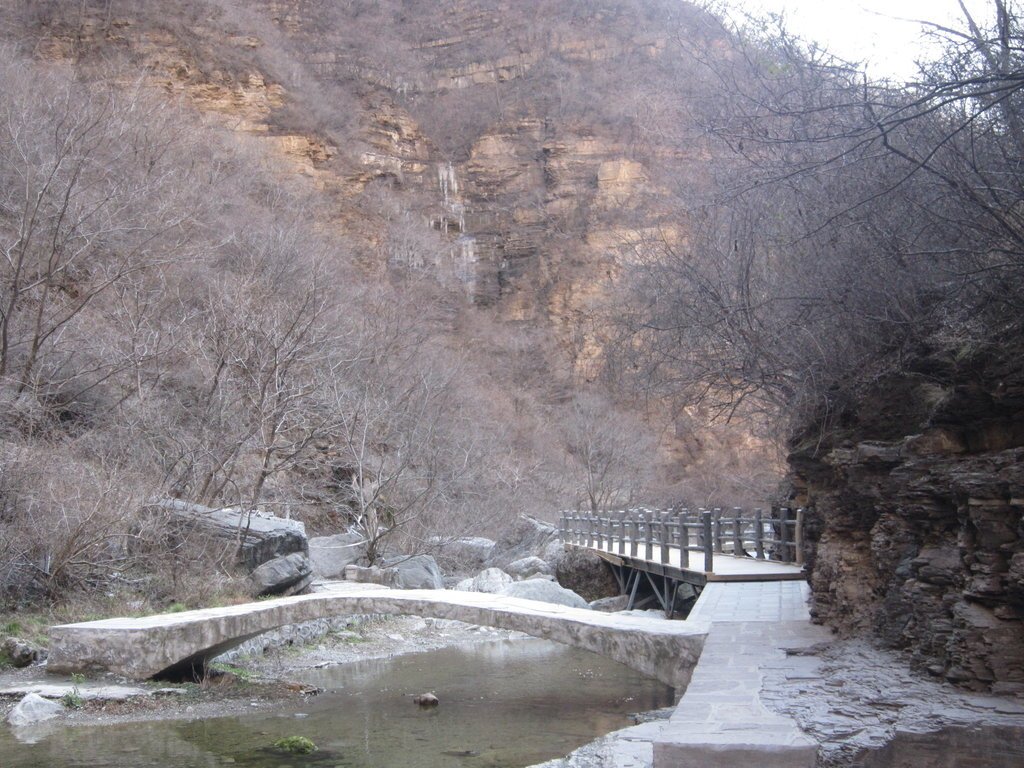 小寨溝雲台山風景區-中國駱駝