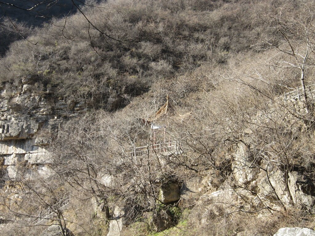 小寨溝雲台山風景區-中國駱駝