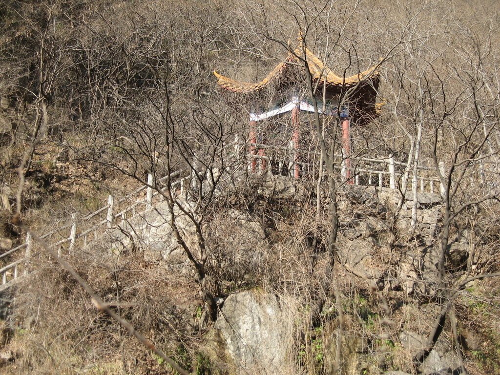 小寨溝雲台山風景區-中國駱駝