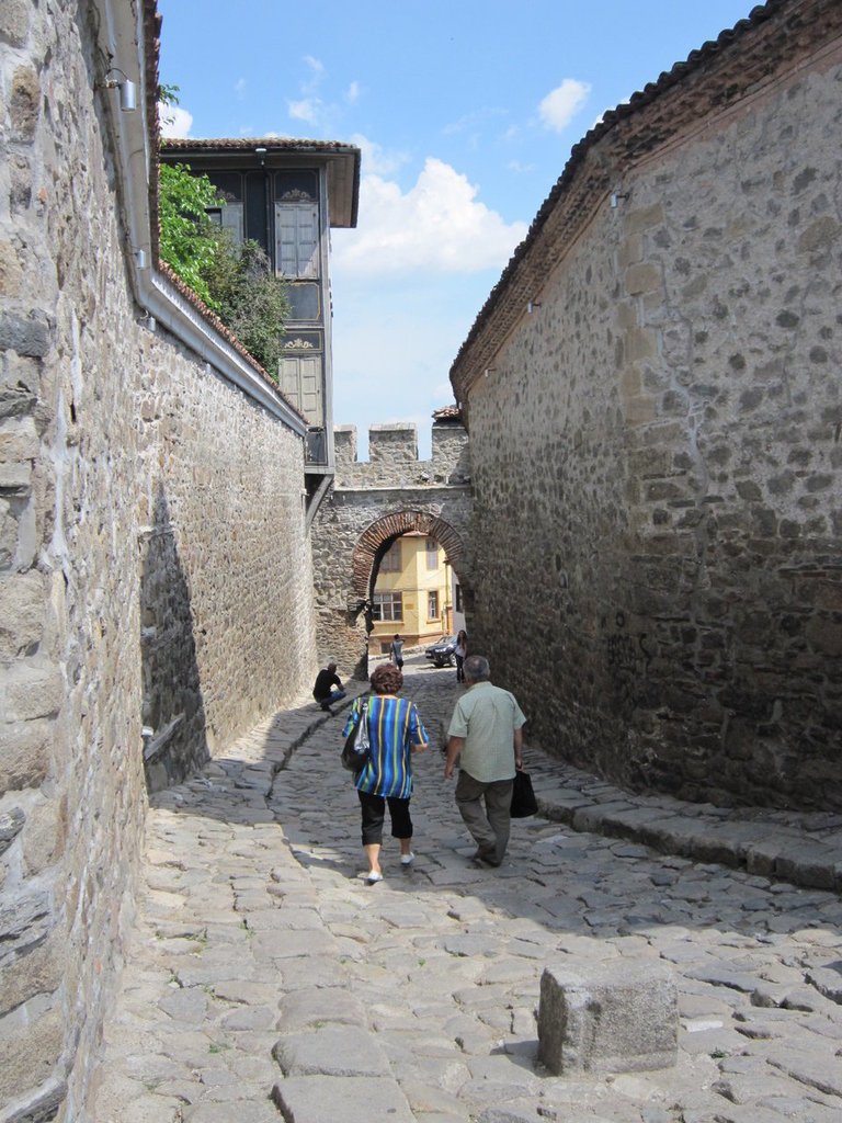 普羅第夫(Plovdiv)古城區-保加利亞駱駝