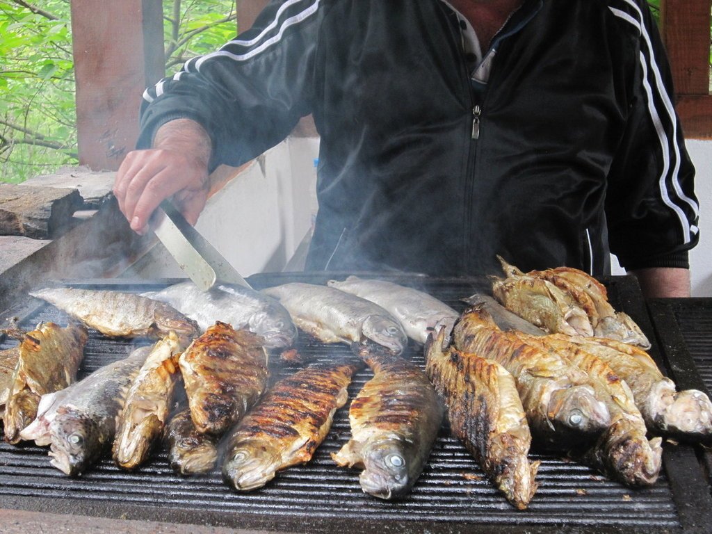 里拉鱒魚料理-保加利亞駱駝