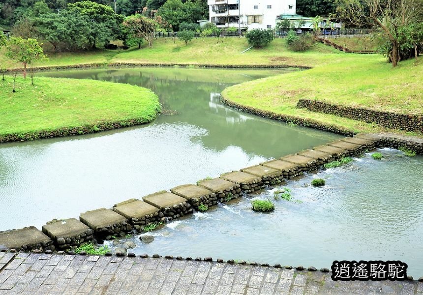 P03.jpg
