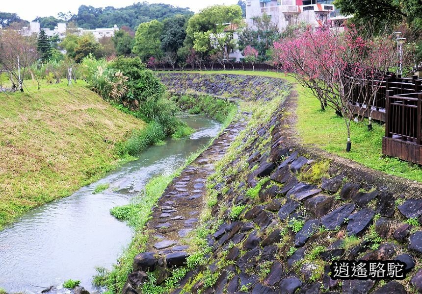 P05.jpg