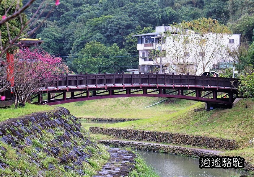 P10.jpg