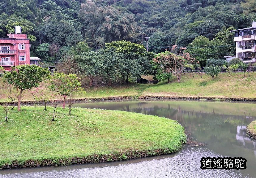 P08.jpg