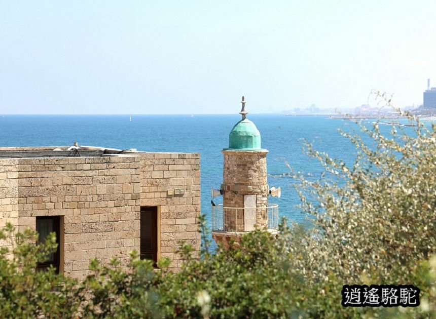 雅法古城-以色列駱駝
