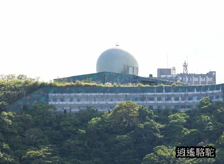 花蓮最美秘境景觀玻璃屋-壽豐駱駝