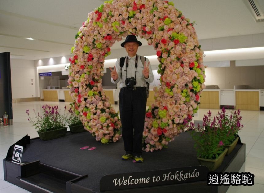 新千歲空港-日本駱駝