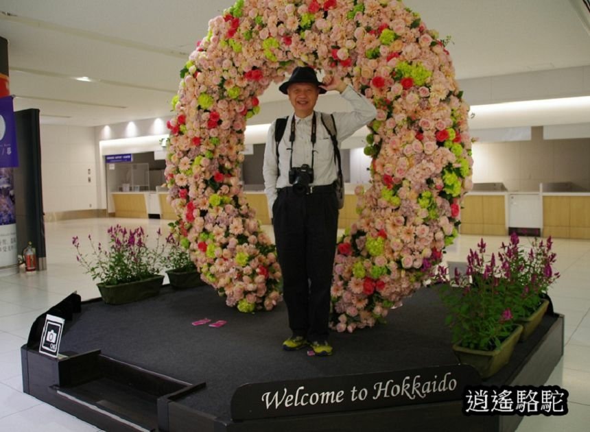 新千歲空港-日本駱駝