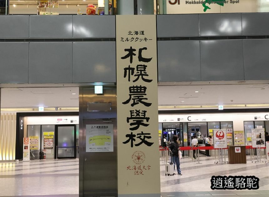 新千歲空港-日本駱駝