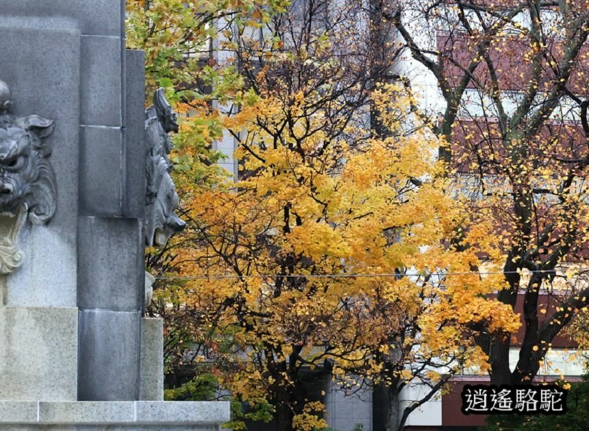 深秋寒雨中的大通公園-日本駱駝