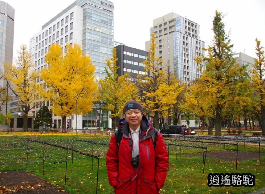 深秋寒雨中的大通公園-日本駱駝